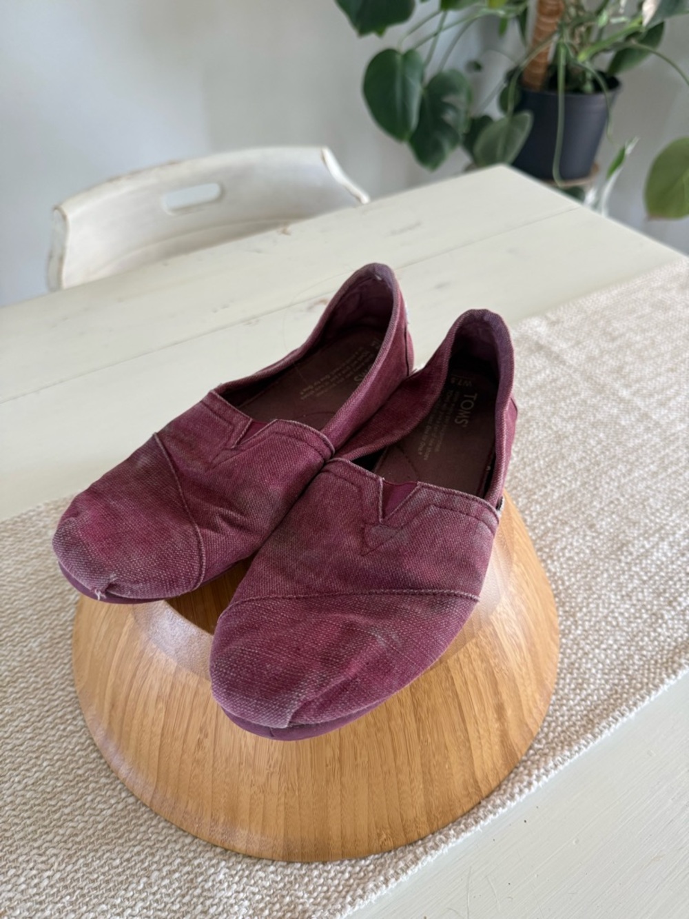 Toms burgundy canvas slip-on shoes